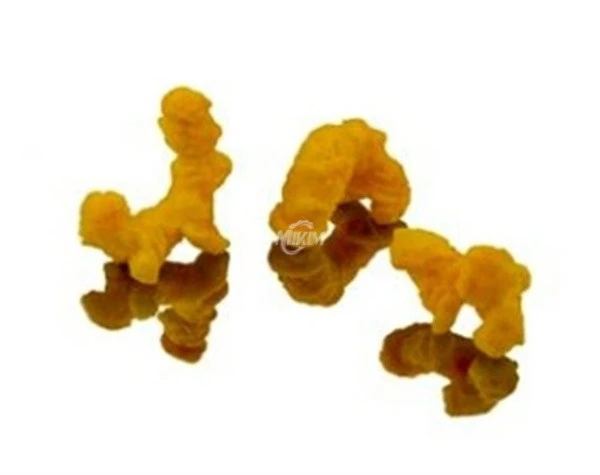 whole grain extruder